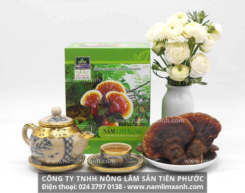 Bán nấm lim xanh ở đâu trên toàn quốc nơi bán nấm lim xanh tại Hà Nội