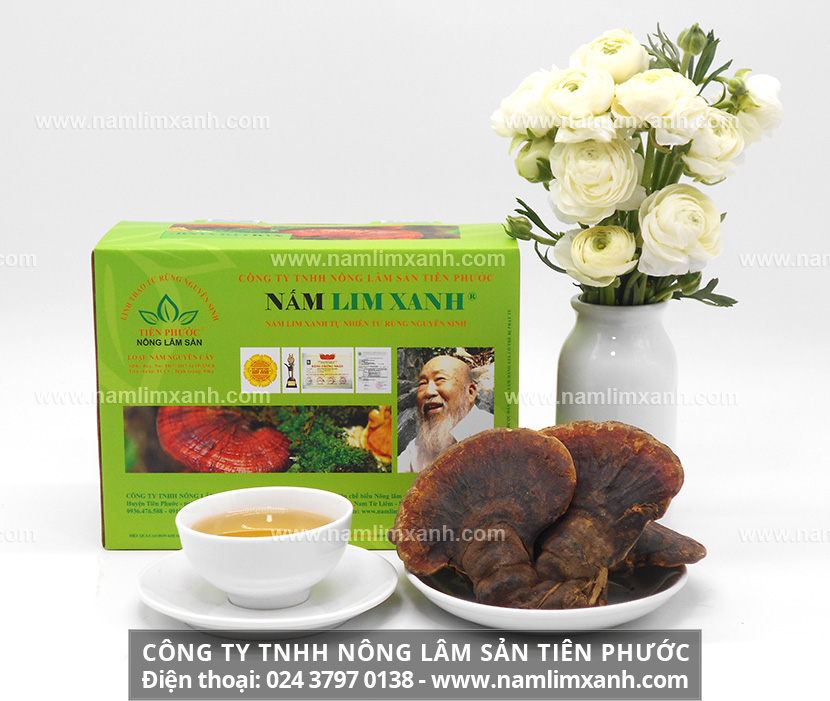 Giá nấm lim xanh bao nhiêu tiền 1kg nấm lim Tiên Phước giá bao nhiêu