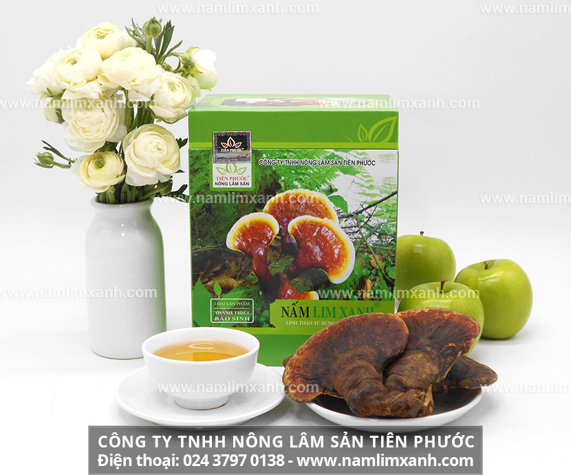 Giới thiệu Công ty TNHH Nông lâm sản Tiên Phước sản phẩm nấm lim