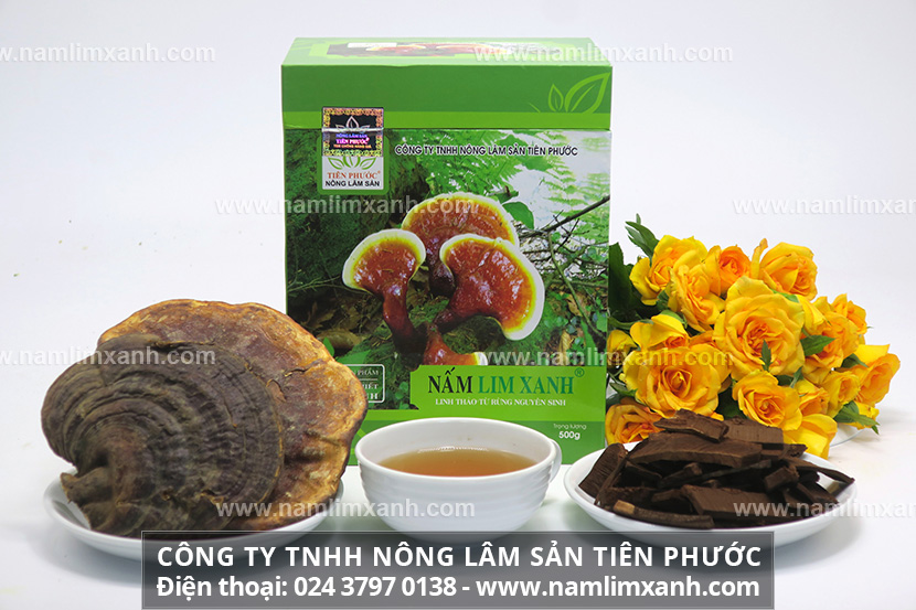 Mua nấm lim xanh ở đâu uy tín và sử dụng nấm gỗ lim xanh như thế nào