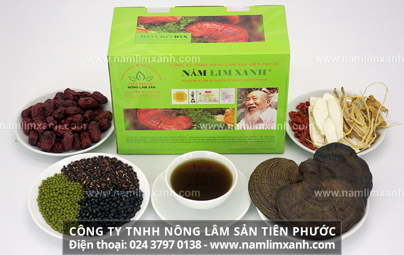 Nấm lim xanh Tiên Phước chính gốc giá bao nhiêu mua bán nấm lim xanh