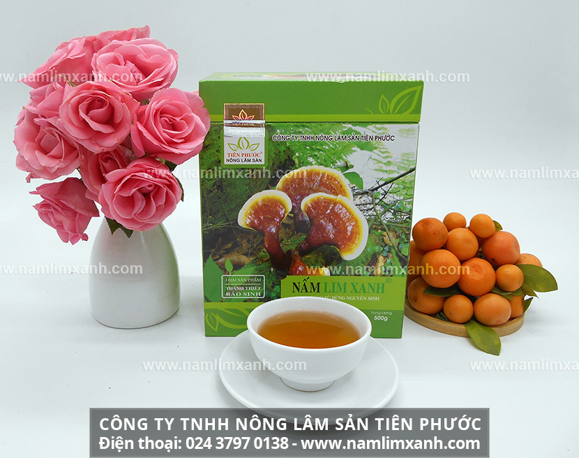 Nấm lim xanh Tiên Phước giá bao nhiêu nấm lim rừng Tiên Phước giá bán