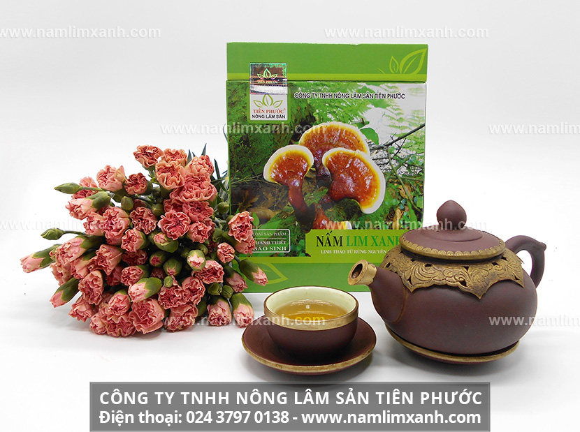 Nấm lim xanh giá bao nhiêu tiền 1kg nấm lim Tiên Phước giá bao nhiêu 1kg