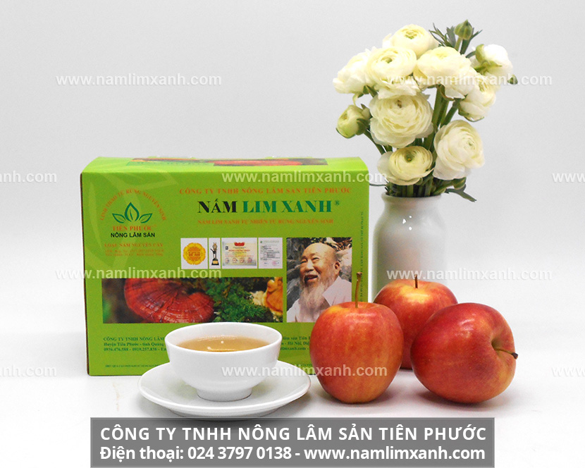 Nấm lim xanh hỗ trợ điều trị bệnh gì và nấm lim chữa bệnh tiểu đường