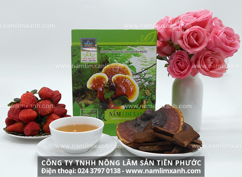 Nấm lim xanh rừng tự nhiên Tiên Phước các loại nấm cây lim Tiên Phước