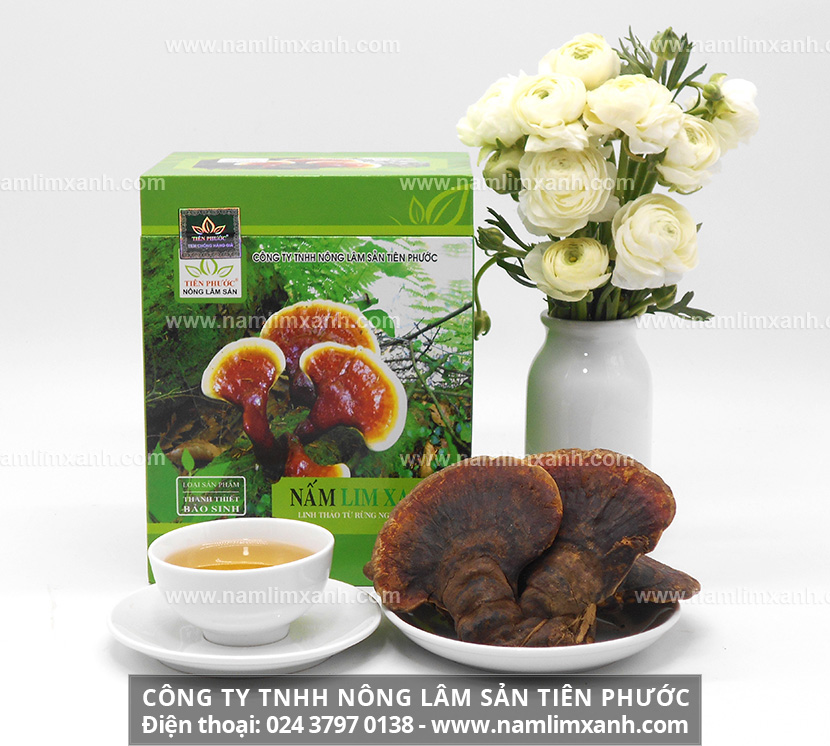 Nấm lim xanh rừng tự nhiên là gì với cách phân biệt nấm lim xanh rừng