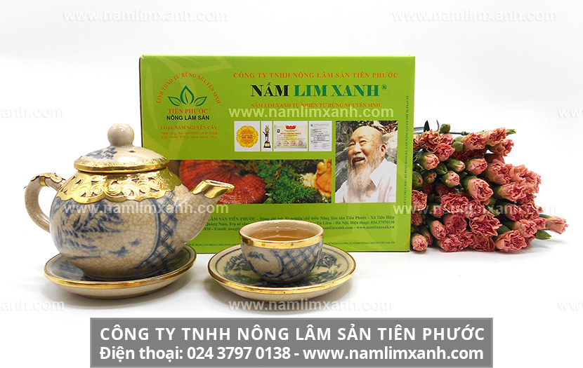 Nấm lim xanh rừng tự nhiên với tác dụng của nấm lim xanh rừng là gì