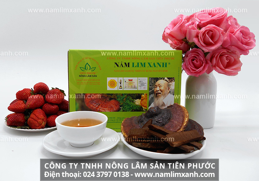 Quá trình tìm nấm lim xanh và hành trình tìm kiếm nấm lim xanh rừng