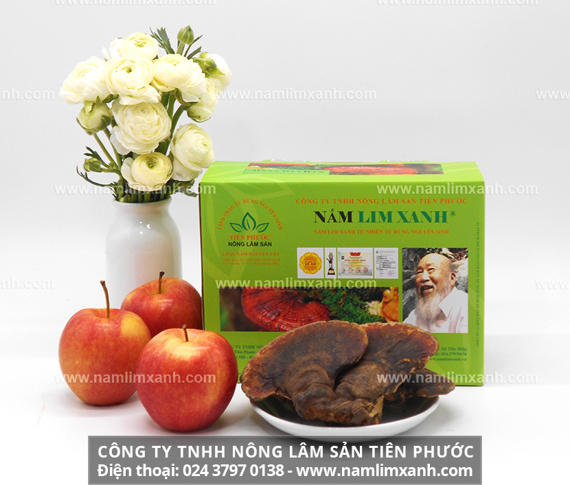 Tác dụng của nấm lim xanh Tiên Phước điều trị bệnh và tăng cường sức khỏe hiệu quả