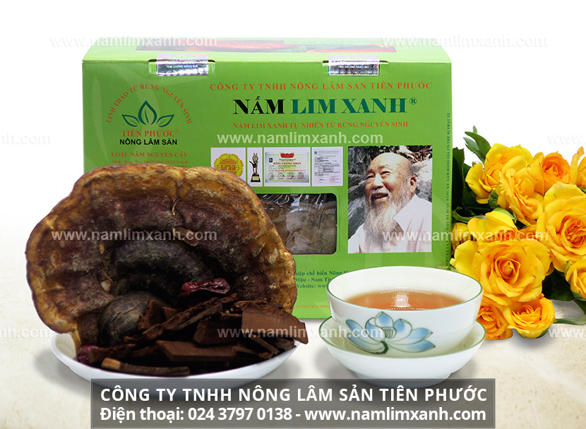 Cần mua nấm lim xanh tại Kon Tum cách phân biệt nấm lim nuôi và rừng