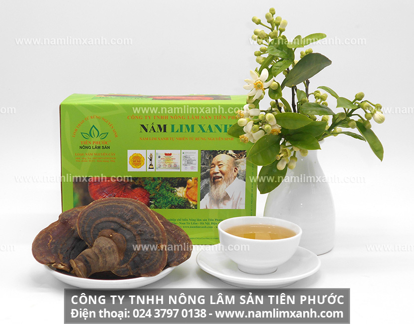 Địa chỉ bán cây nấm lim xanh Tiên Phước chính hãng tại tỉnh Sóc Trăng