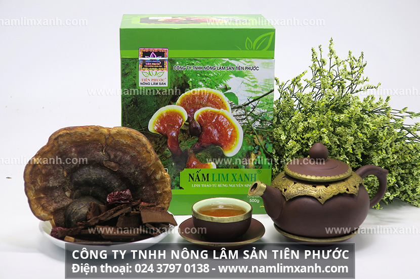 Địa chỉ bán nấm lim xanh Công ty Nông lâm sản Tiên Phước ở Nam Định