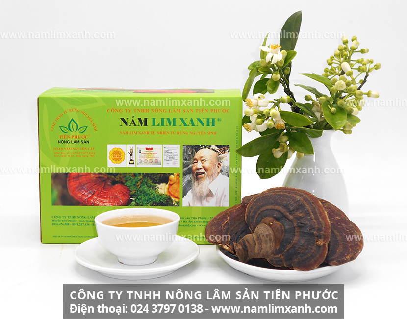 Địa chỉ bán nấm lim xanh Công ty Nông lâm sản Tiên Phước ở Vũng Tàu