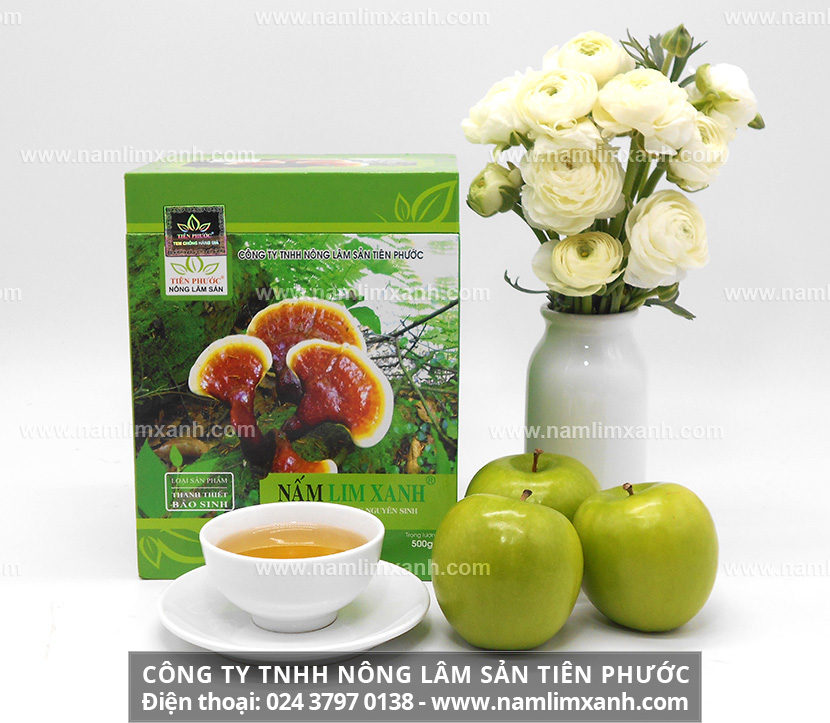 Địa chỉ bán nấm lim xanh Công ty Nông lâm sản Tiên Phước tại Hải Phòng