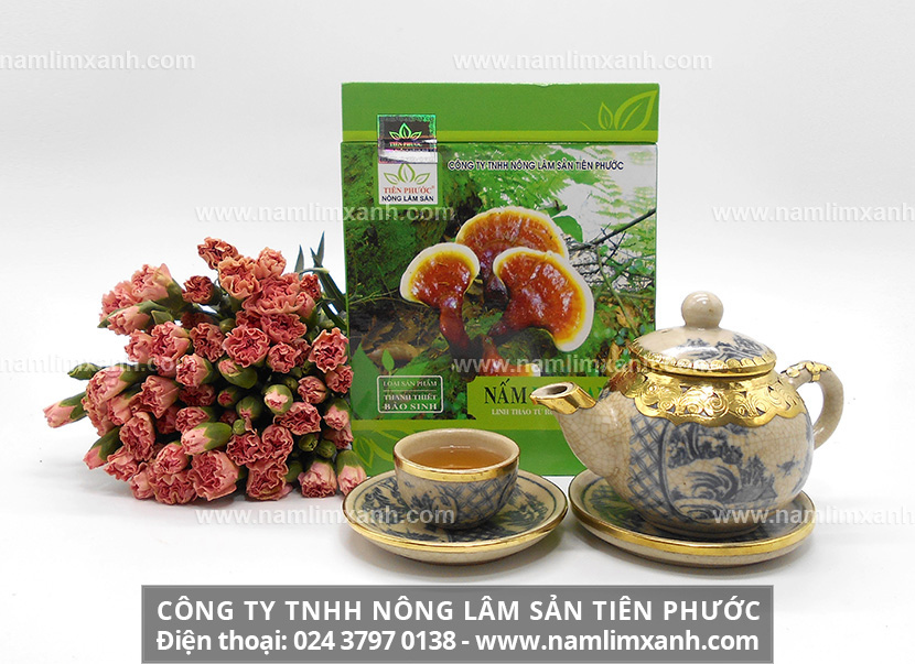 Địa chỉ bán nấm lim xanh ở Lâm Đồng và tác dụng của nấm lim Tiên Phước