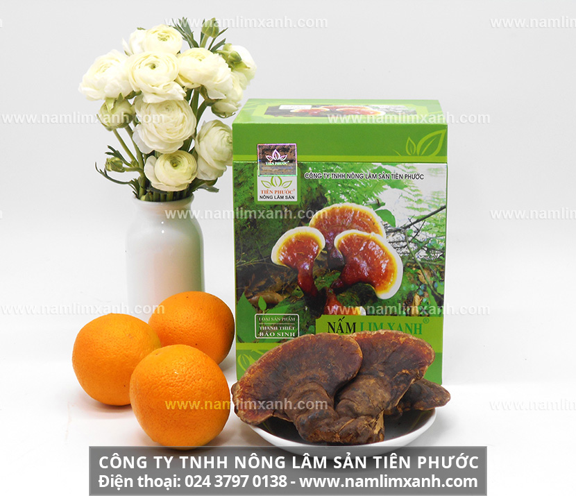 Địa chỉ đại lý mua bán nấm lim xanh rừng chính hãng tại Hậu Giang