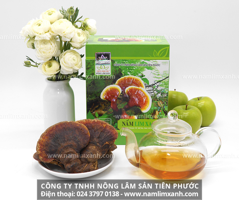 Địa chỉ đại lý mua nấm lim xanh Công ty Nông lâm sản Tiên Phước ở Huế