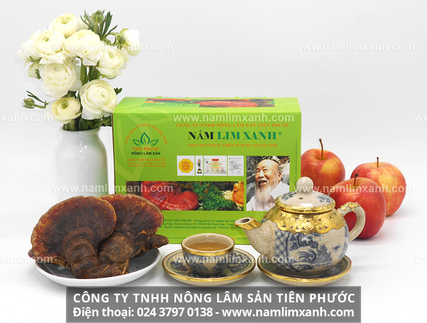 Giá bán nấm lim xanh Tiên Phước ở Quảng Ngãi và công dụng nấm lim xanh