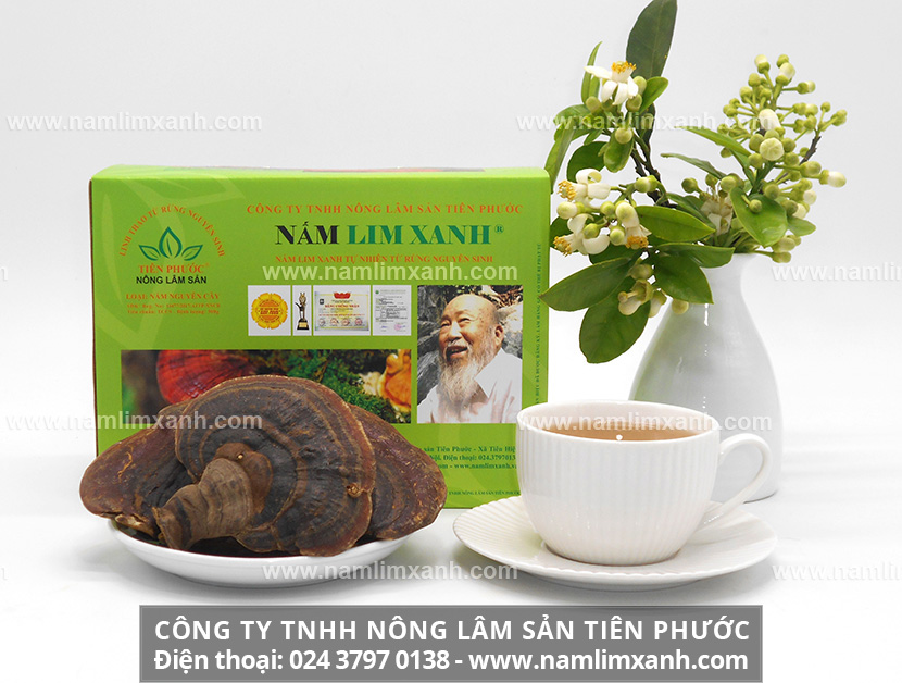 Mua bán nấm lim xanh tại Lai Châu giá nấm lim xanh Công ty Tiên Phước