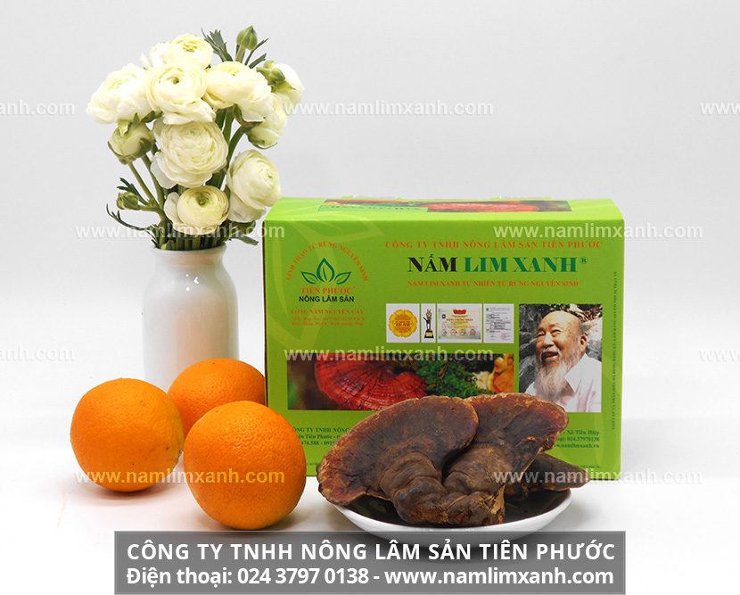 Mua nấm lim chất lượng ở Bình Phước của Công ty Nông lâm sản Tiên Phước