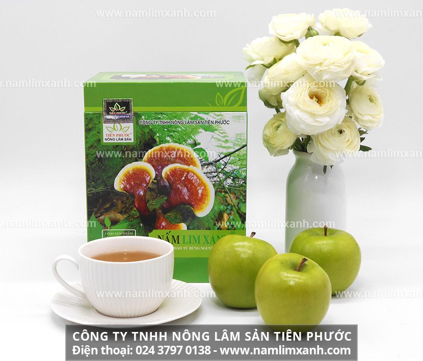 Mua nấm lim xanh Tiên Phước tại Hà Giang nấm lim xanh có tác dụng gì