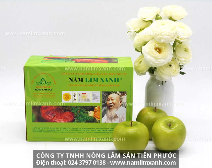 Mua nấm lim xanh ở đâu tốt tại Gia Lai và cách dùng nấm lim xanh