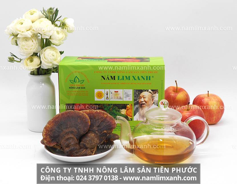 Mua nấm lim xanh tại Lạng Sơn và công dụng nấm lim xanh Tiên Phước