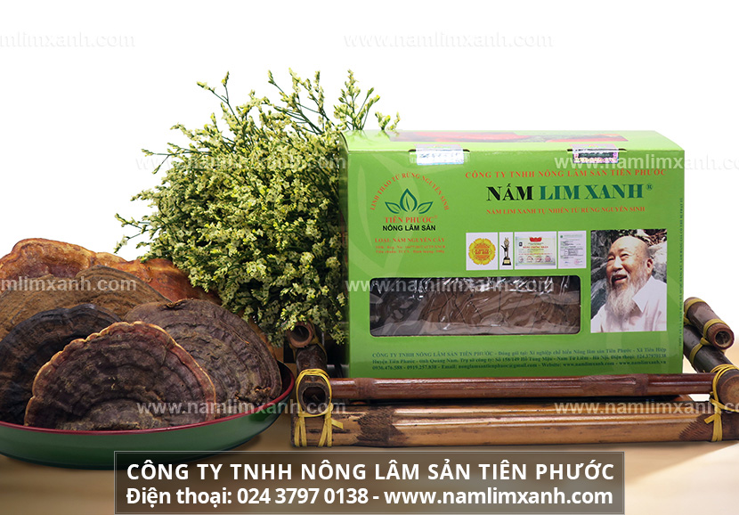 Nấm lim xanh giá bán tại Thái Nguyên cách dùng nấm lim xanh Tiên Phước