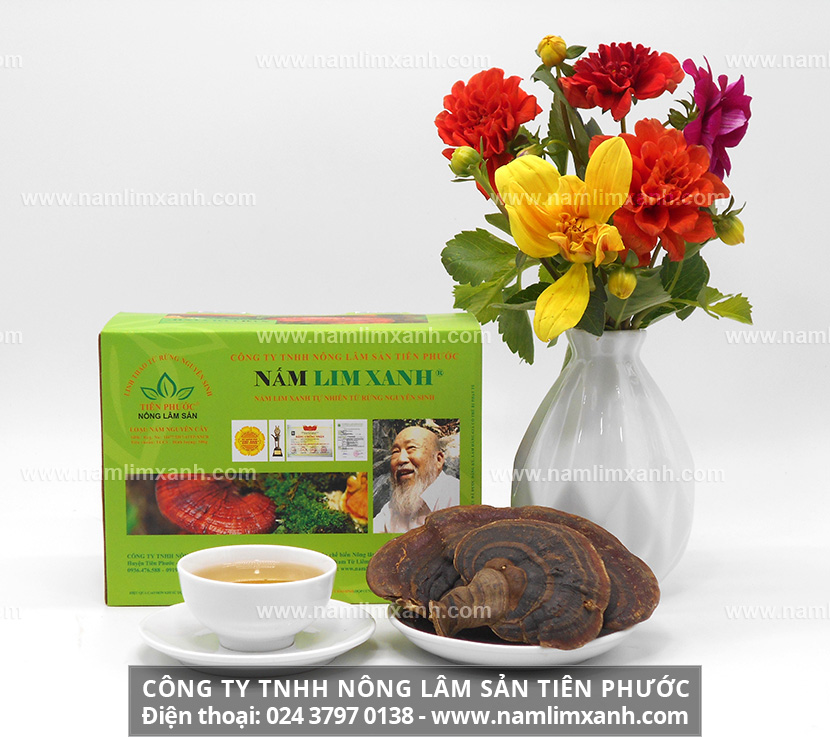 Nơi bán nấm lim xanh uy tín Công ty Nông lâm sản Tiên Phước ở Long An