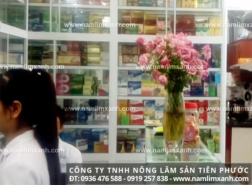 Bán nấm lim xanh ở đâu Bình Dương với nấm lim rừng có tác dụng gì