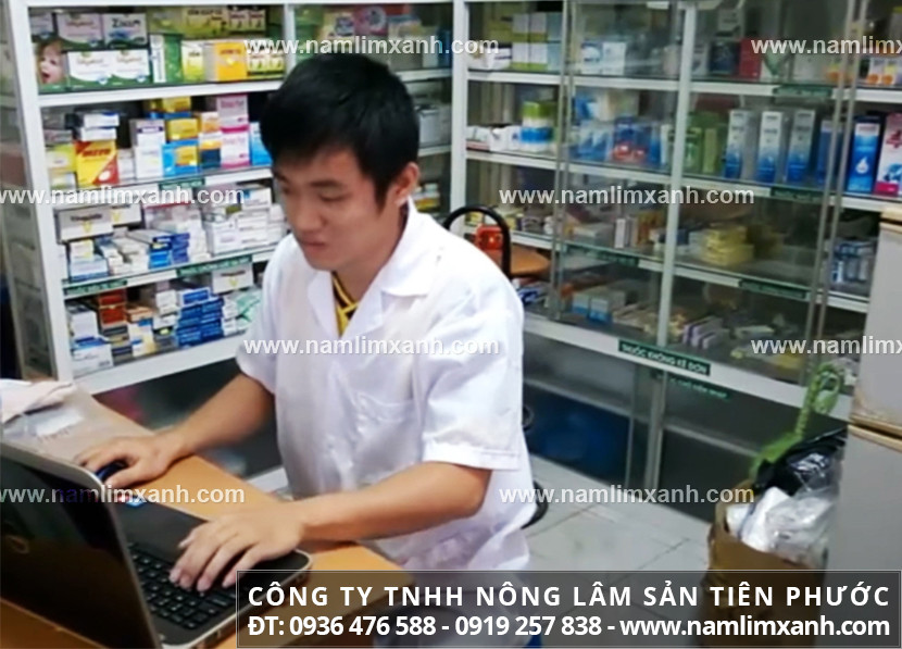 Giá bán 1kg nấm lim xanh rừng loại 1 ở An Giang công dụng nấm lim