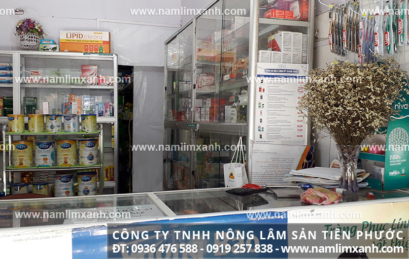 Giá bán của nấm lim xanh ở Bắc Ninh và nấm lim rừng cứng hay mềm?