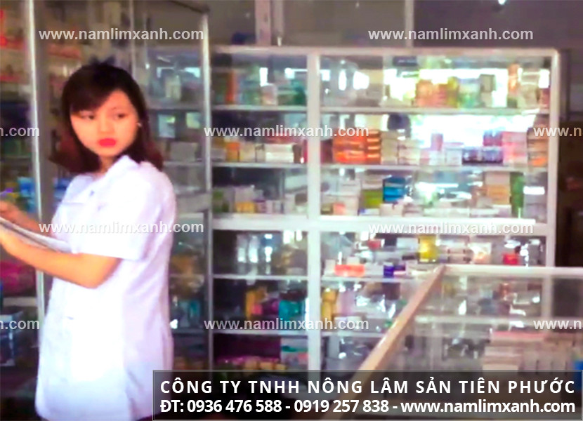 Giá của nấm lim xanh tại Huế và giá bán nấm lim xanh Quảng Nam