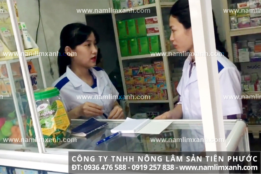 Mua bán nấm lim xanh ở Sóc Trăng với giá và tác dụng nấm lim rừng