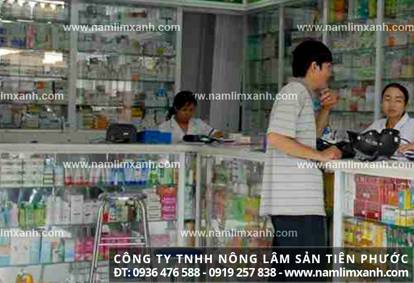 Mua bán nấm lim xanh ở Vĩnh Long với giá và cách dùng nấm lim rừng