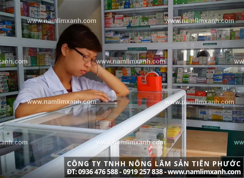 Mua nấm lim xanh ở đâu Vũng Tàu giá bán nấm lim xanh Tiên Phước