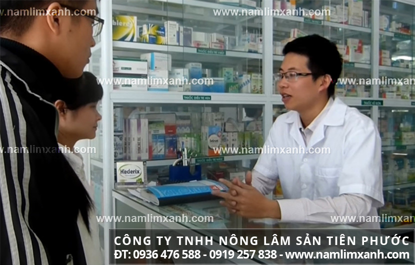 Nấm lim mua ở đâu tốt tại Long An giá thành nấm lim xanh Quảng Nam