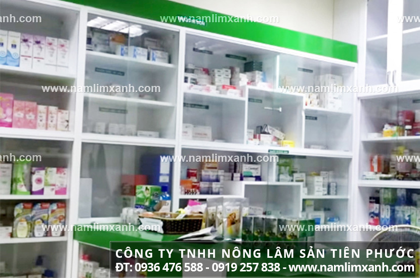 Nấm lim xanh bán ở đâu Lâm Đồng và đại lý nấm lim xanh Quảng Nam