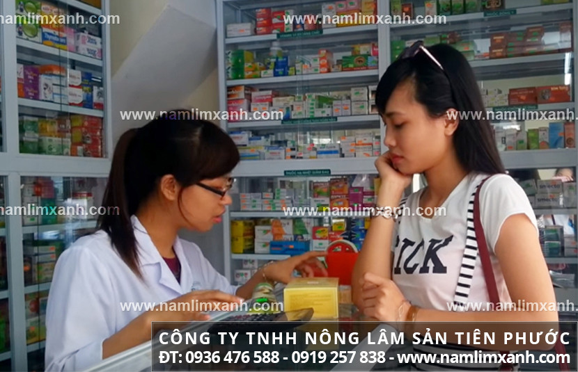 Nấm lim xanh mua ở đâu uy tín tại Đồng Nai và nấm lim Lào tác dụng