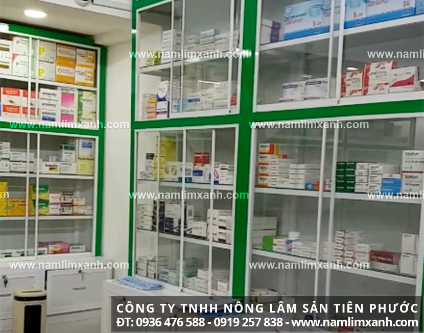 Nấm lim xanh uy tín mua ở đâu Tuyên Quang và nấm lim Tiên Phước