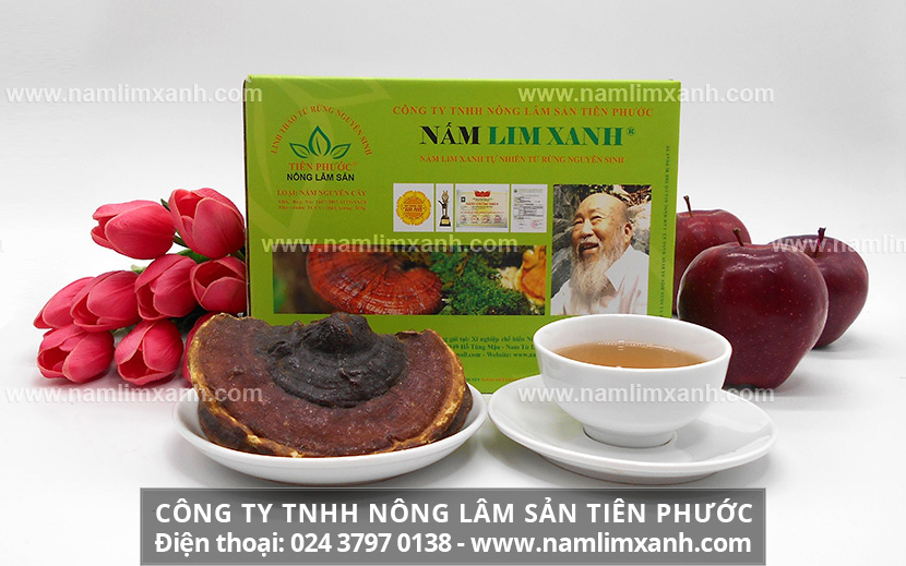 Nấm lim xanh Nguyên Cây Nông lâm sản Tiên Phước