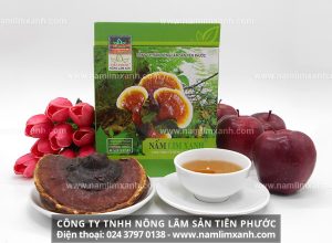 Sản phẩm nấm lim xanh loại Thanh-Thiết-Bảo-Sinh tác dụng cách dùng