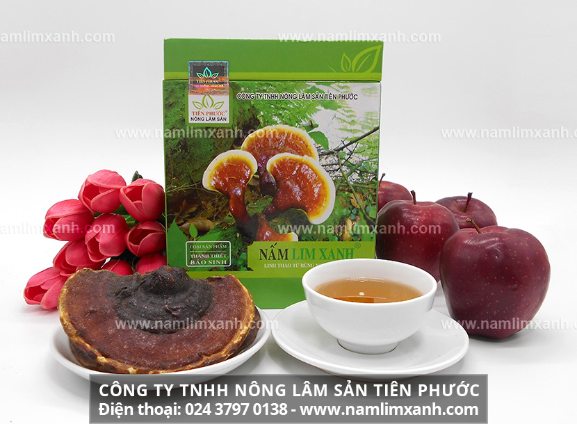 Sản phẩm nấm lim xanh THANH THIẾT BẢO SINH cổ truyền của Công ty Nông lâm sản Tiên Phước.